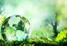 De Voordelen van Duurzaam Ondernemen voor Bedrijven